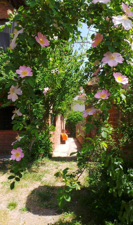 Agriturismo Olivazzi Quattordio Zewnętrze zdjęcie